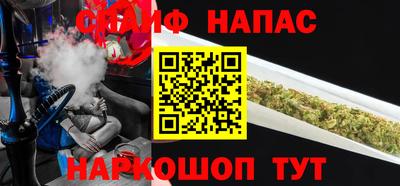 прущие грибы Обь