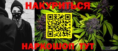 прущие грибы Обь