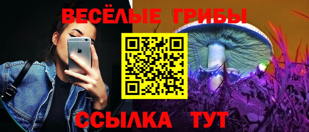 Псилоцибиновые грибы GOLDEN TEACHER  Вход с VPN  Галлюциногенные грибы GOLDEN TEACHER  Санкт-Петербург 